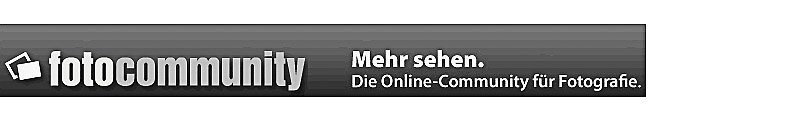 Martin-Fickert-20090502-003.jpg