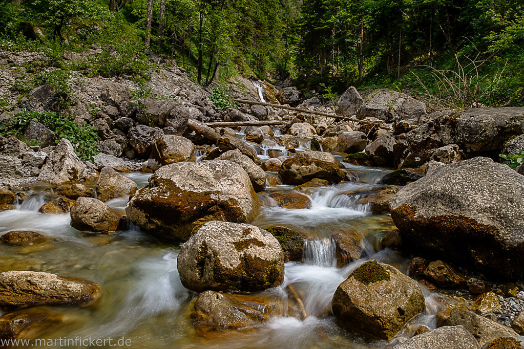 Martin-Fickert-20140621-001.jpg