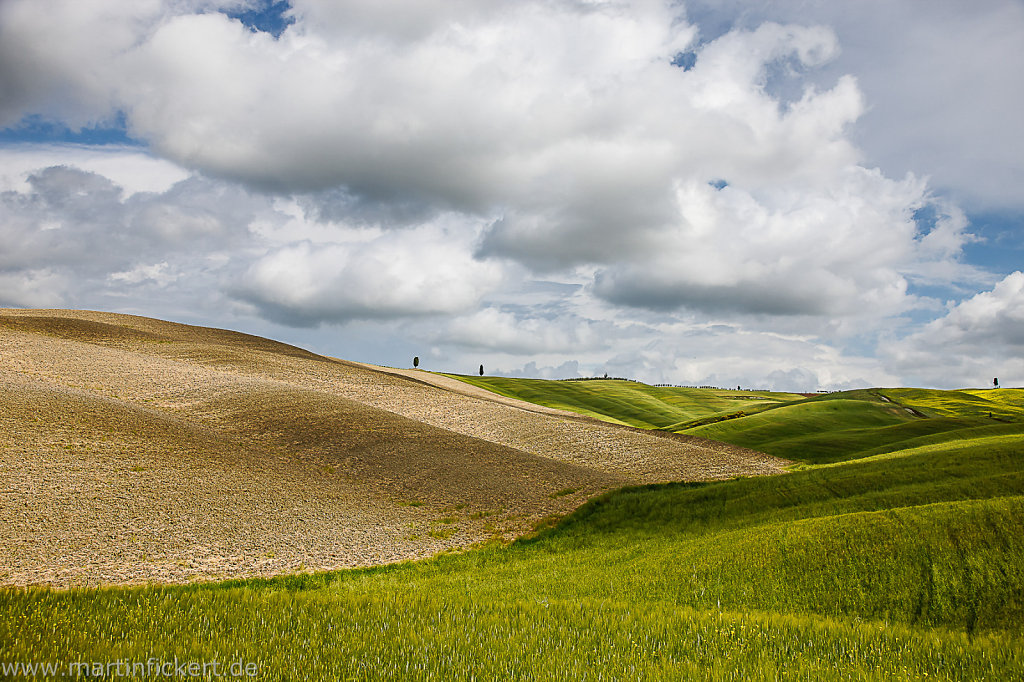 Martin-Fickert-20140620-025.jpg