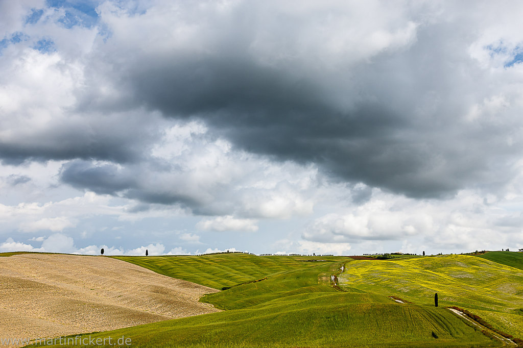 Martin-Fickert-20140620-011.jpg
