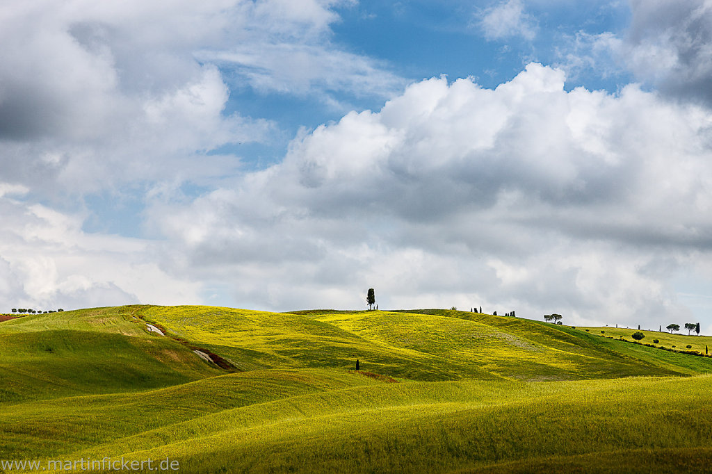 Martin-Fickert-20141014-003.jpg